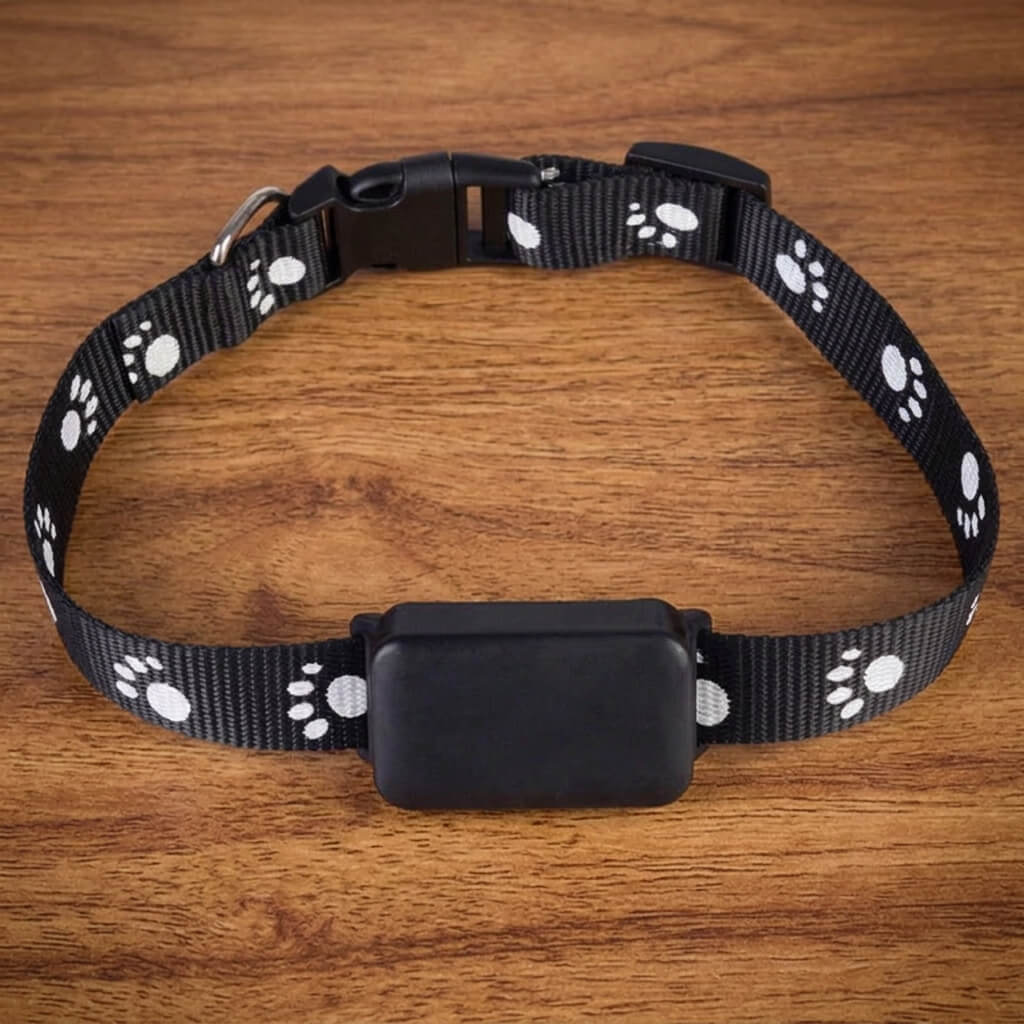 Collier GPS chien - CuttieTrack™