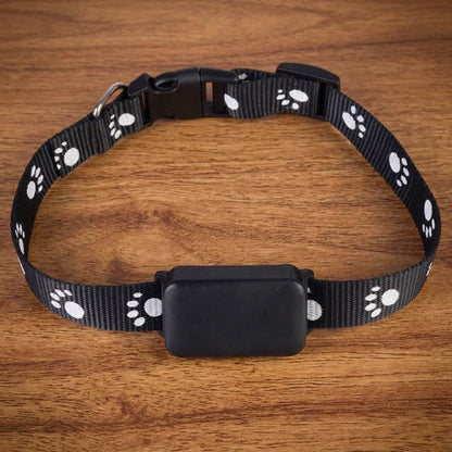 Collier GPS chien - CuttieTrack™