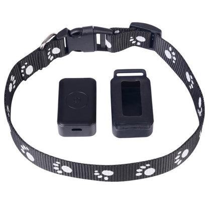 Collier GPS chien - CuttieTrack™