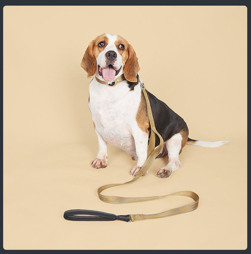 Collier GPS chien - EasyTrackDog™ avec Laisse