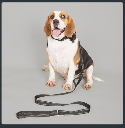 Collier GPS chien - EasyTrackDog™ avec Laisse