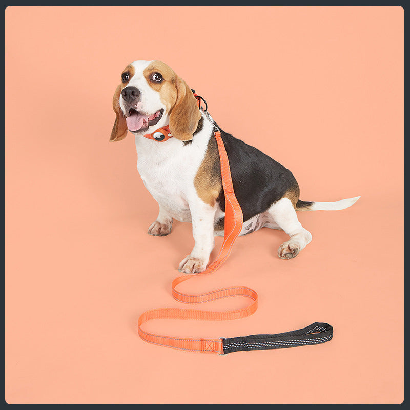 Collier GPS chien - EasyTrackDog™ avec Laisse