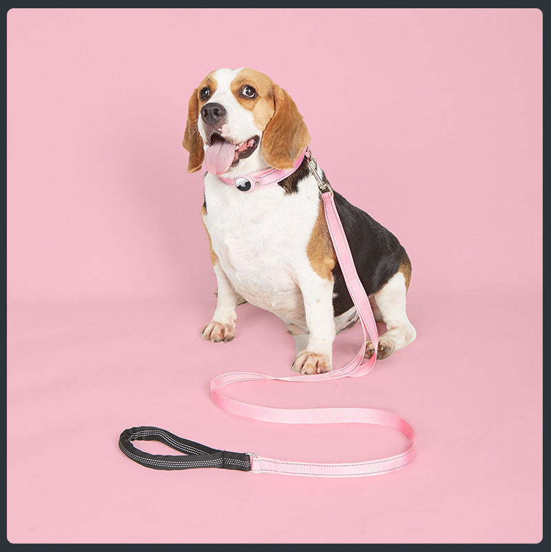 Collier GPS chien - EasyTrackDog™ avec Laisse