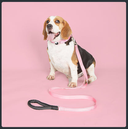 Collier GPS chien - EasyTrackDog™ avec Laisse