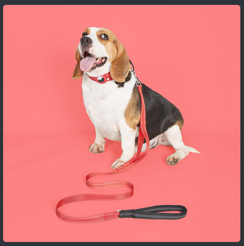 Collier GPS chien - EasyTrackDog™ avec Laisse