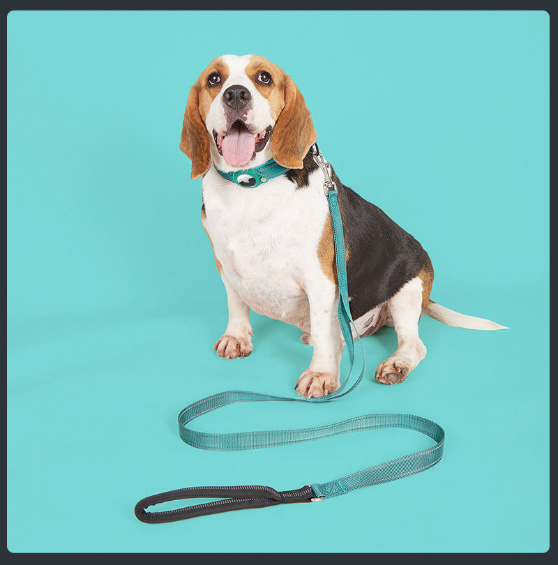 Collier GPS chien - EasyTrackDog™ avec Laisse