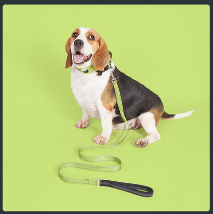 Collier GPS chien - EasyTrackDog™ avec Laisse