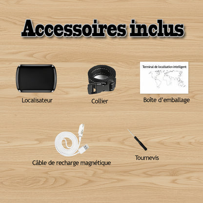 Collier GPS chien - ImNotFar