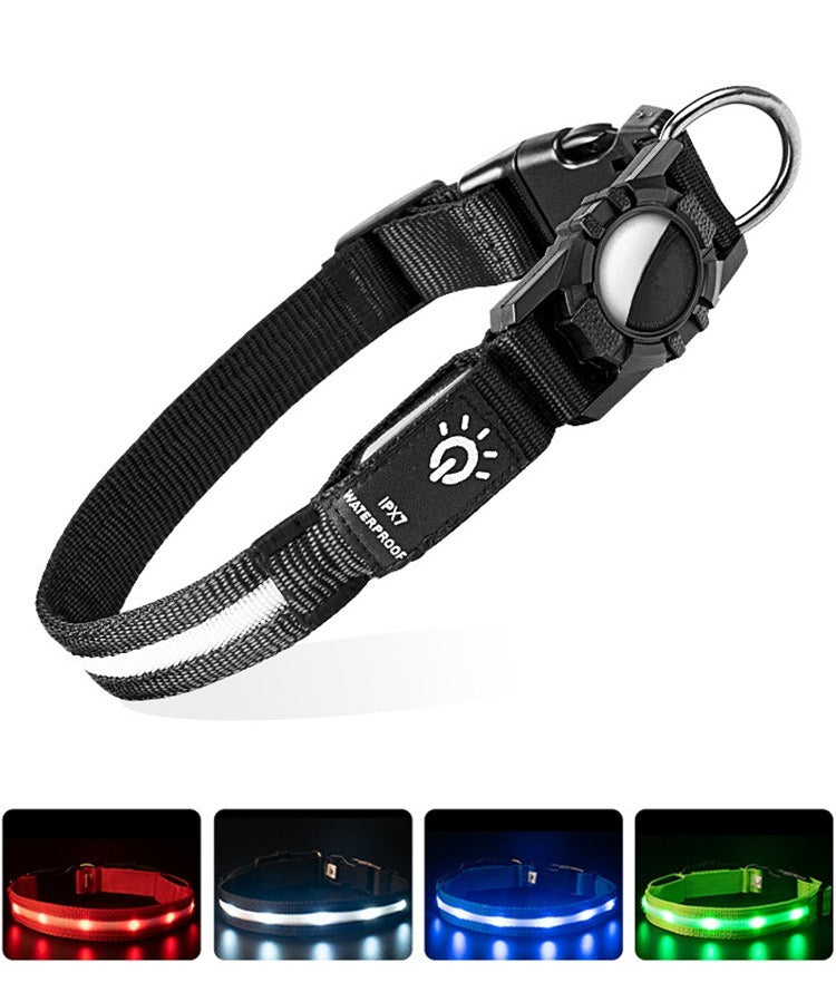 collier GPS chien blanc