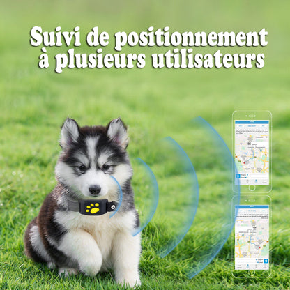 Collier GPS pour chien - GoFoundDog™ suivi