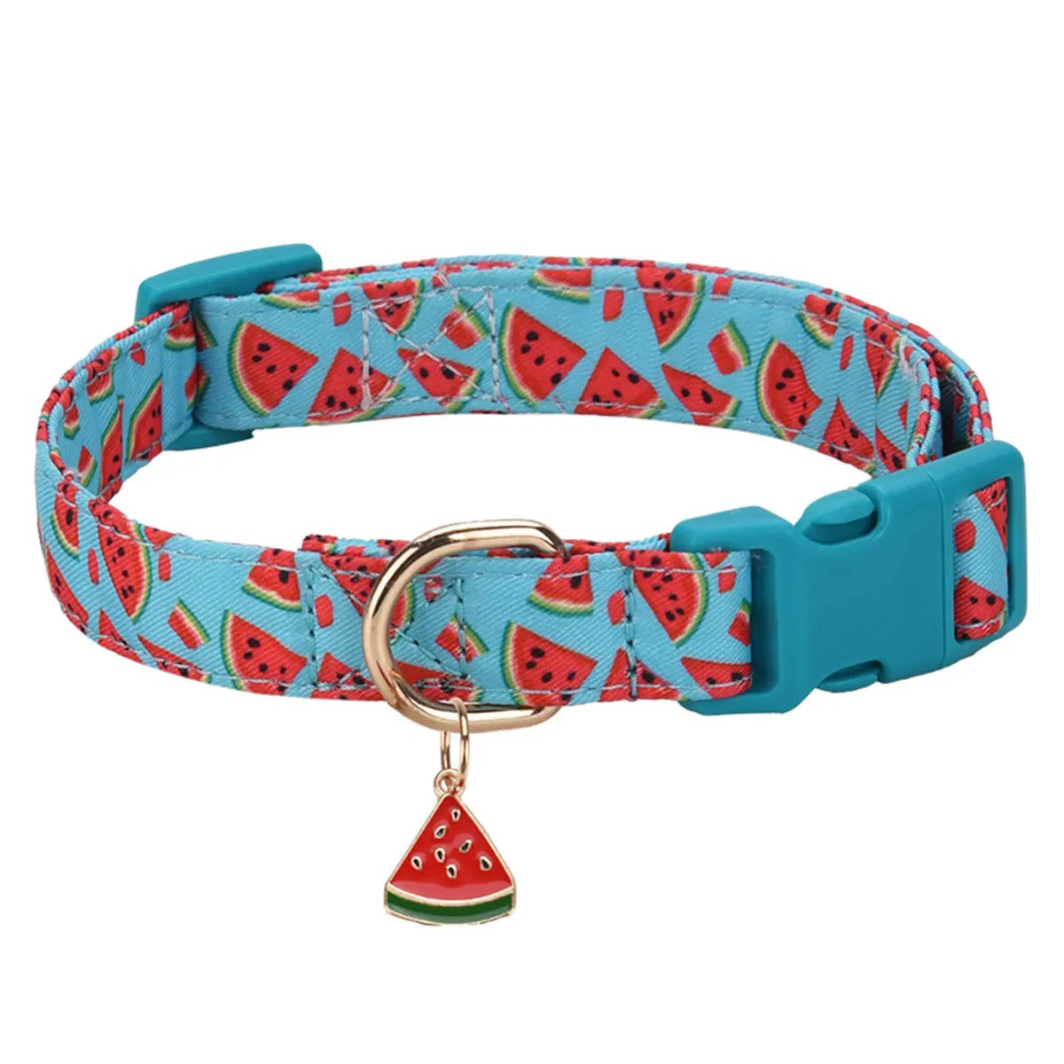 Collier chien - CuttieFrutti™