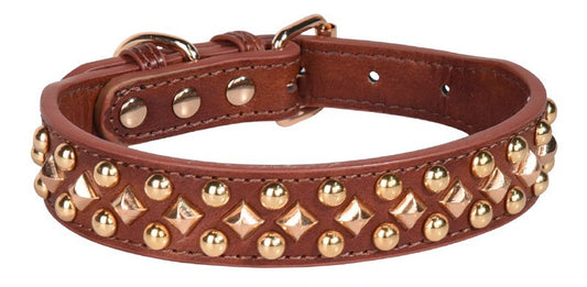 Collier chien - Le Majestik™