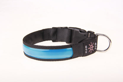 Collier lumineux chien - SeeFromFar™ - Bleu