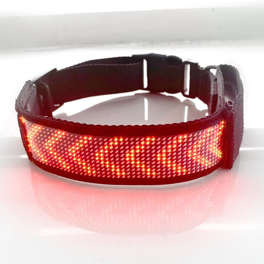 Collier lumineux chien - StunningLumos™ rouge