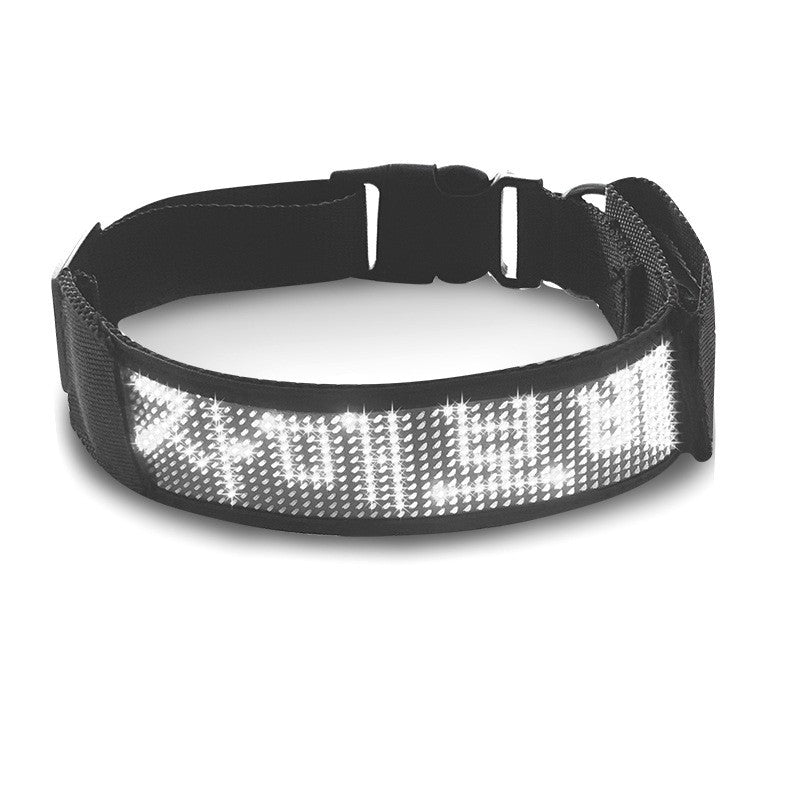Collier lumineux chien - StunningLumos™ blanc