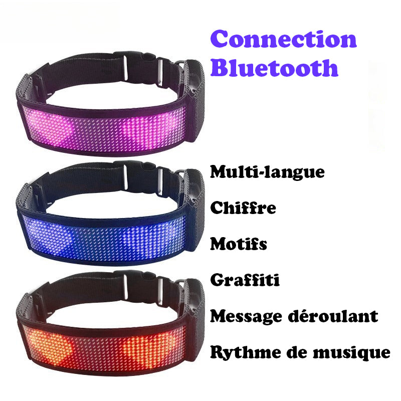 Collier lumineux chien - StunningLumos™ choix de message