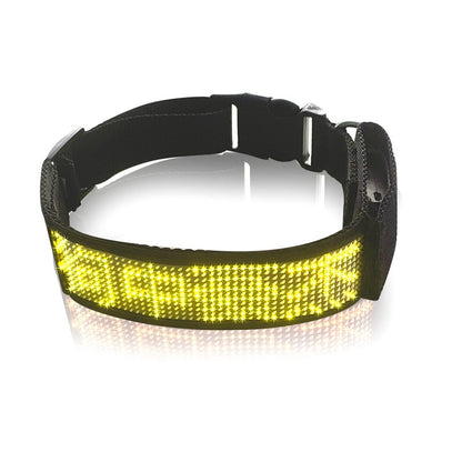 Collier lumineux chien - StunningLumos™ jaune