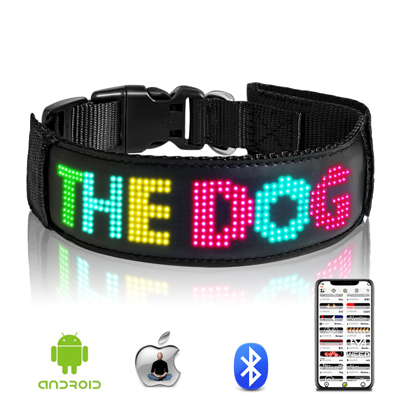 Collier lumineux chien - StunningLumos™ personnalisable via l'application