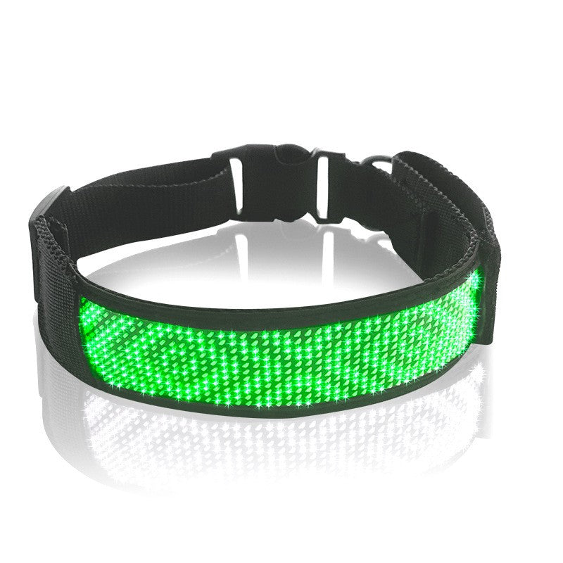 Collier lumineux chien - StunningLumos™ vert