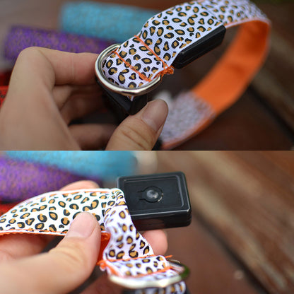 Collier lumineux pour Chien - CheetaLedCollar™