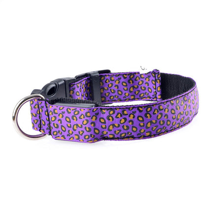 Collier lumineux pour Chien - CheetaLedCollar™