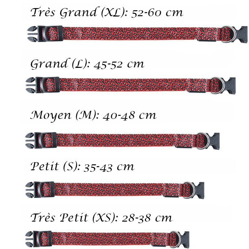 Collier lumineux pour Chien - CheetaLedCollar™