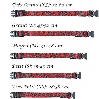 Collier lumineux pour Chien - CheetaLedCollar™