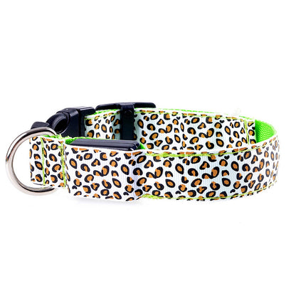 Collier lumineux pour Chien - CheetaLedCollar™