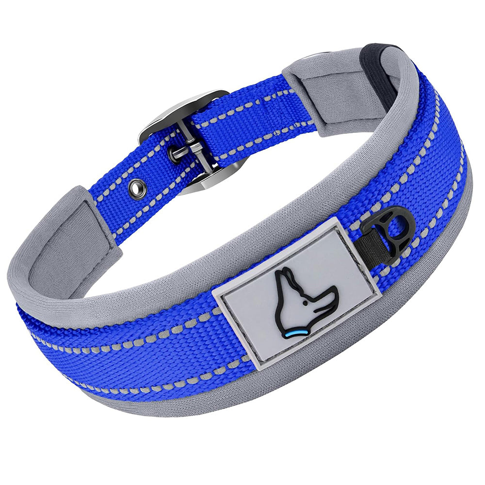 Collier pour Chien - ConfortTotal™ bleu