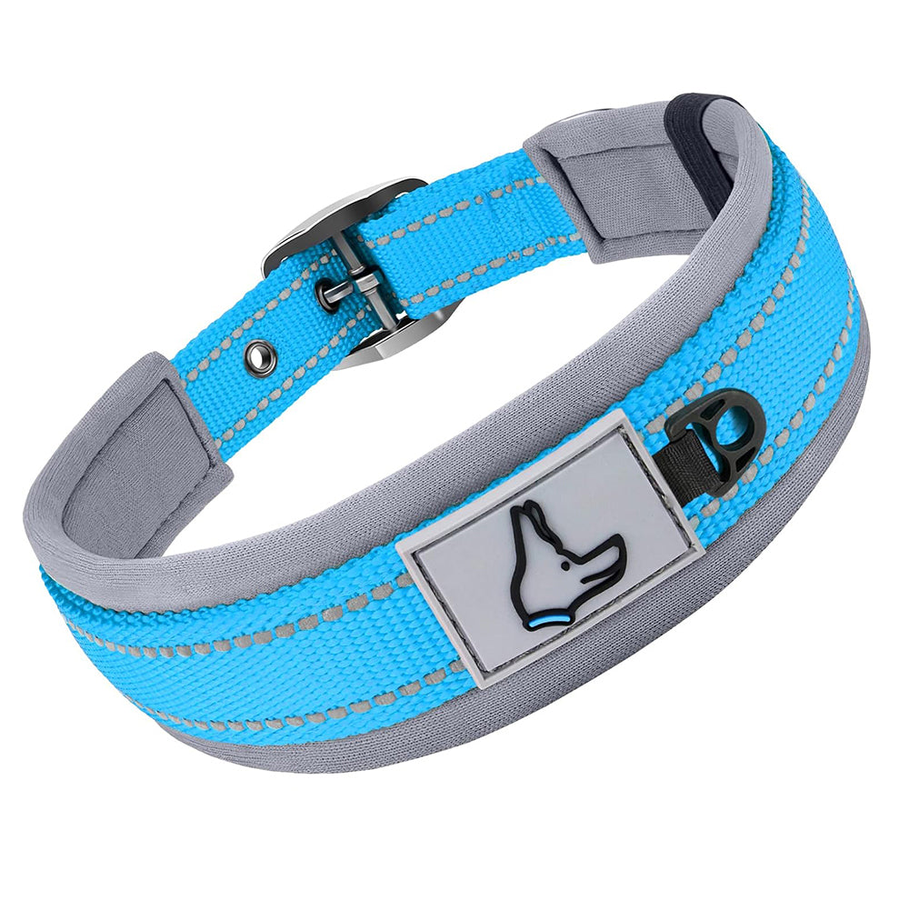 Collier pour Chien - ConfortTotal™ bleu ciel