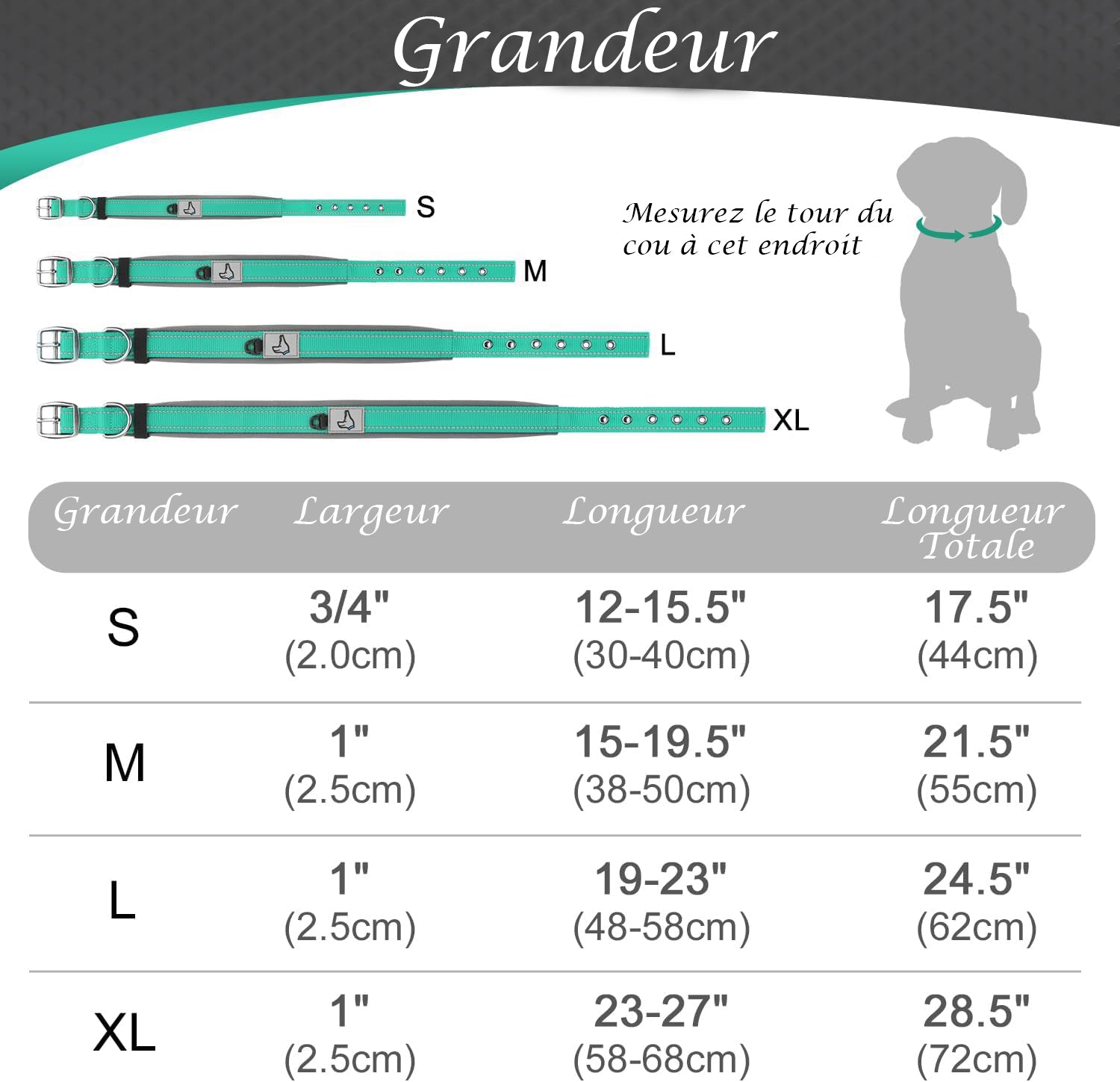 Collier pour Chien - ConfortTotal™