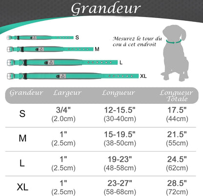 Collier pour Chien - ConfortTotal™