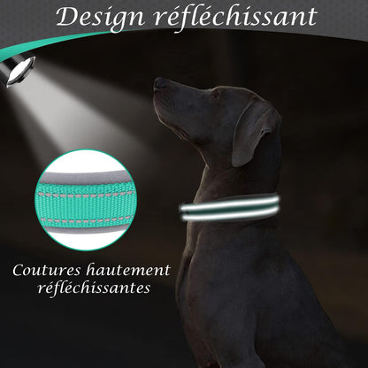 Collier pour Chien - ConfortTotal™