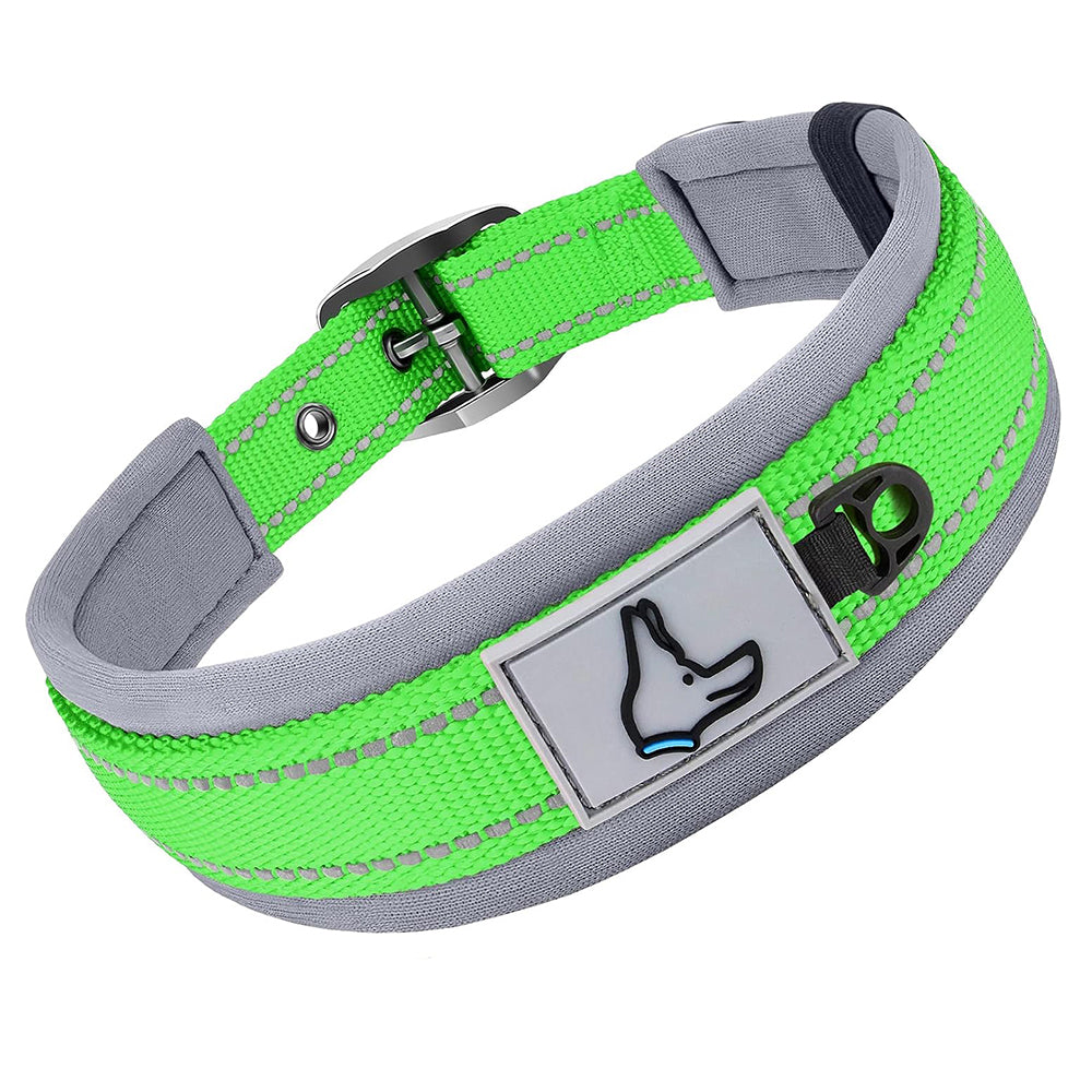 Collier pour Chien - ConfortTotal™ vert
