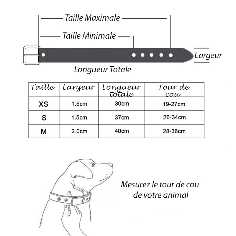 Collier pour chien - TotalCuir™