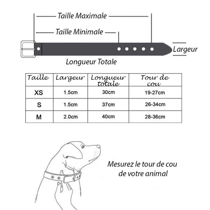 Collier pour chien - TotalCuir™