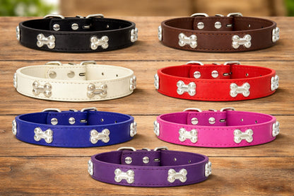 Collier pour chien - TotalCuir™