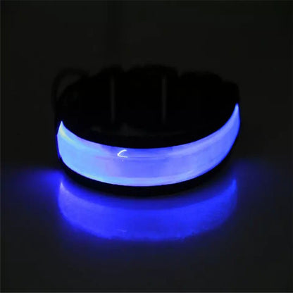 Collier lumineux chien - SeeFromFar™ - Bleu