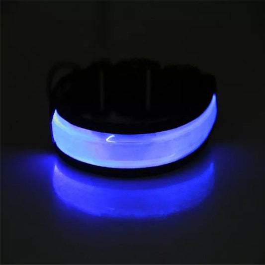 Collier lumineux chien - SeeFromFar™ - Bleu