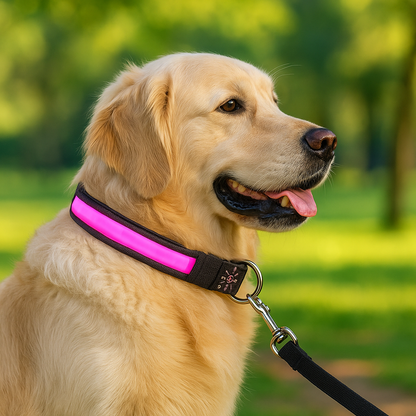 Collier lumineux chien - SeeFromFar™ - Rose