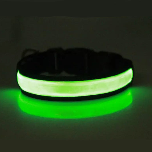 Collier lumineux chien - SeeFromFar™ - Vert allume