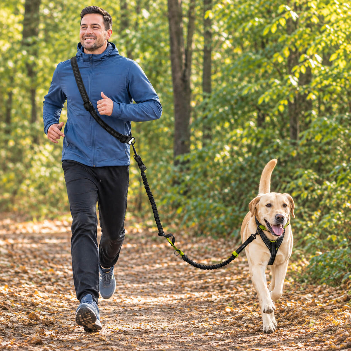 laisse pour chien a la taille - La Bella™ en bandouillère