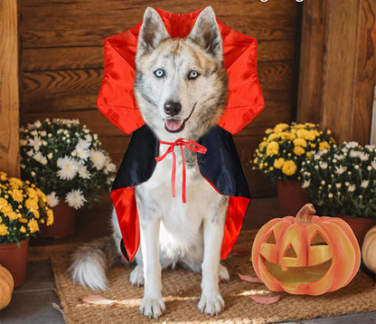 Déguisement Chien - DracuDog™