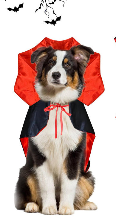 Déguisement Chien - DracuDog™