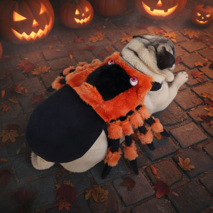 Déguisement Chien - Spider-Dog™