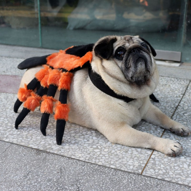 Déguisement Chien - Spider-Dog™