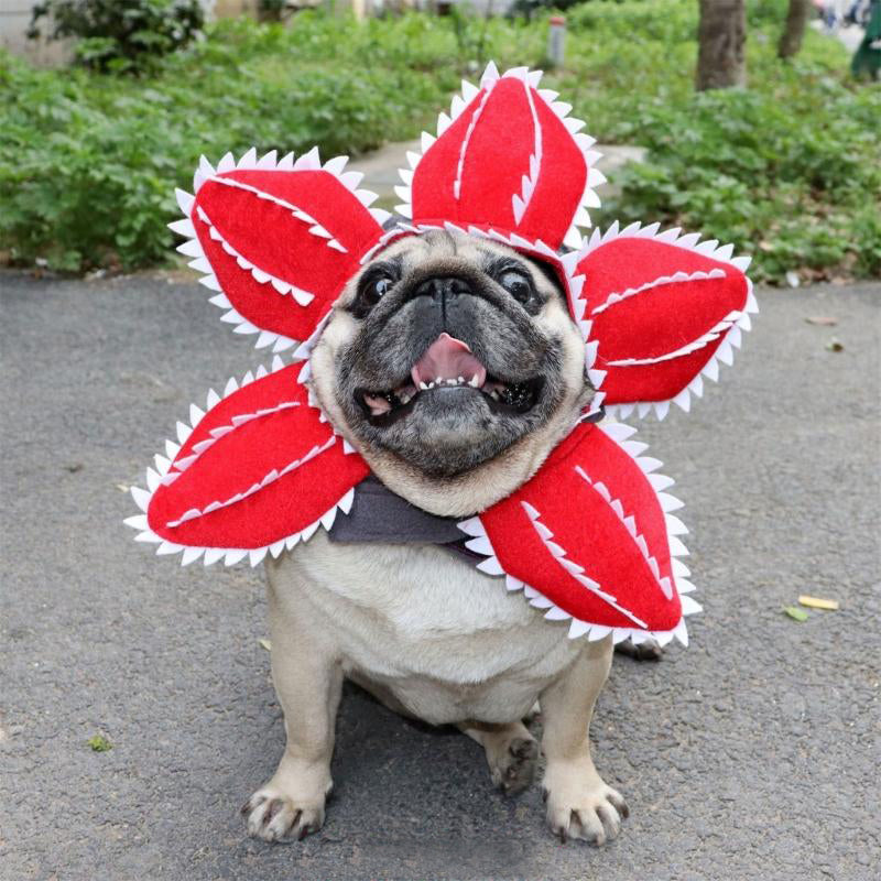 Déguisement Chien - StrangerDog™