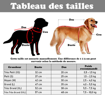 Déguisement chien - PrincessDog™ tableau des tailles