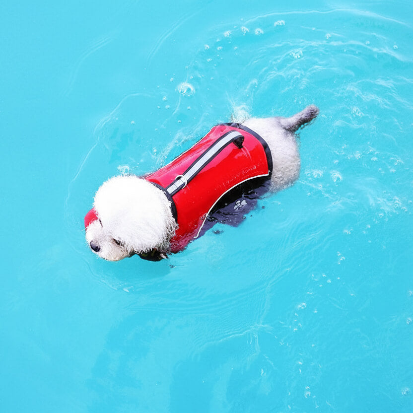 Gilet de sauvetage Chien - GoodSwimmerDog™