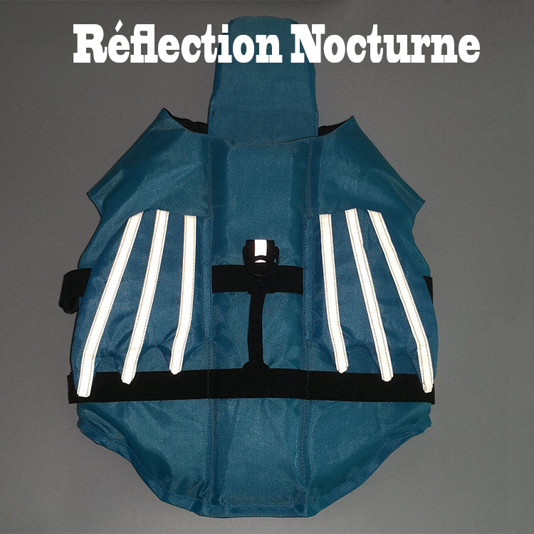 Gilet de sauvetage chien - FlyingWaterDog™ vision nocturne